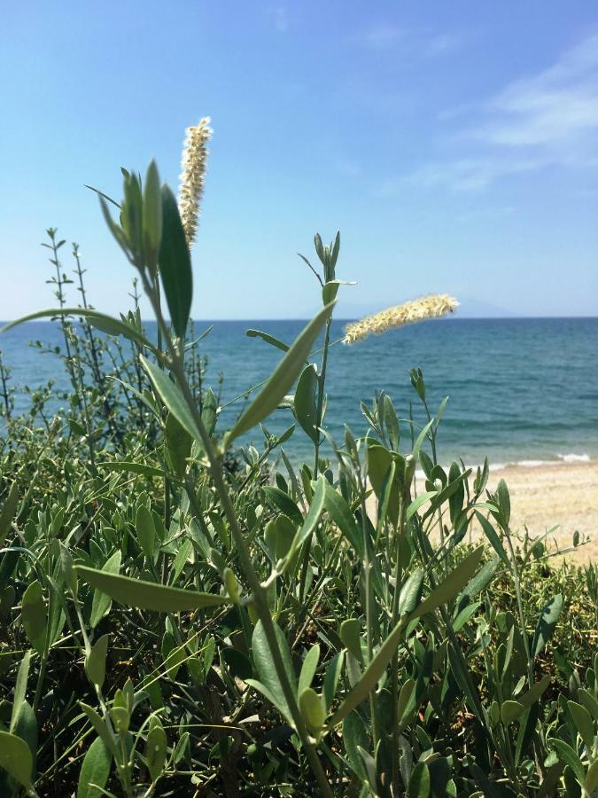 Estate Irene Villa Alexandrúpoli Kültér fotó